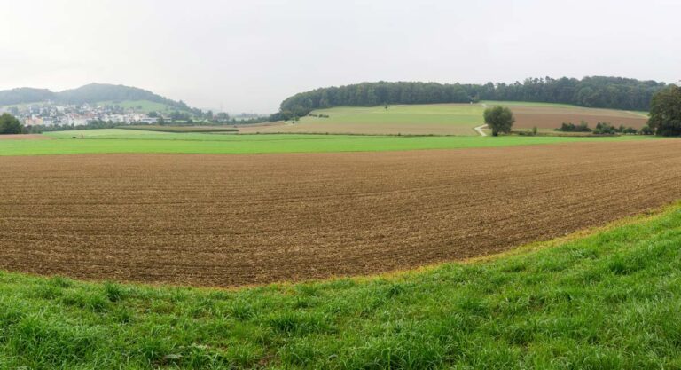 Begehung Standort vor Ort. Mit Blick über Ackerflächen.