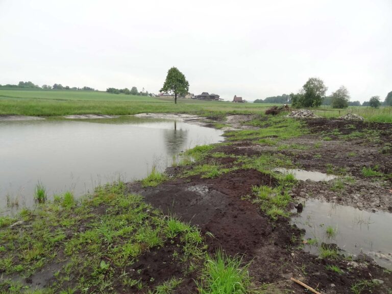 Weiher als ökologische Ausgleichsmassnahme des Spurausbaus der N04. Noch sind die Ufer nicht zugewachsen. Sie grenzen an Landwirtschaftsland.