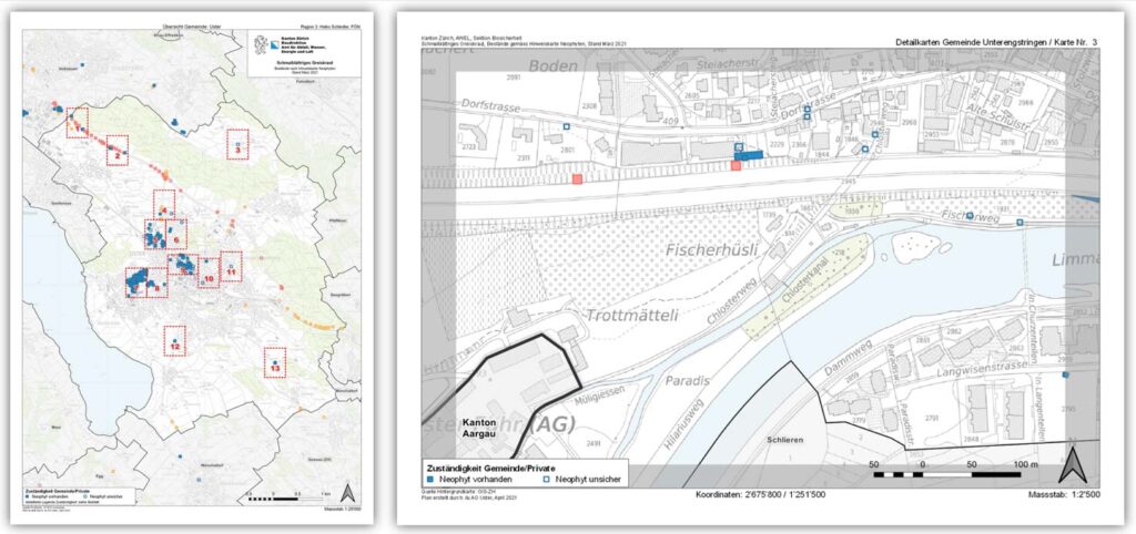 Dienstleistung Geografische Informationssysteme (GIS): GIS Neophytenkarte. Übersichtskarte und Detailkarten in grösserem Massstab.