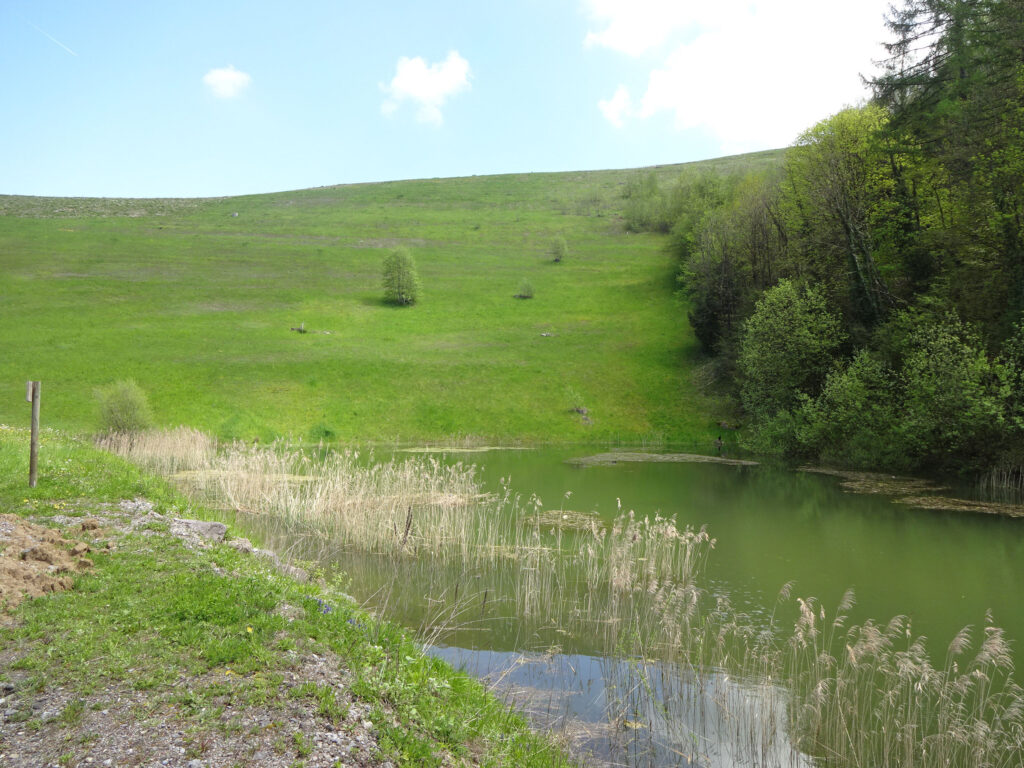 Dienstleistung Landschaftsplanung und -gestaltung: grossräumige Landschaftsplanung der Kiesgrube Kreuzhügel mit Tümpel