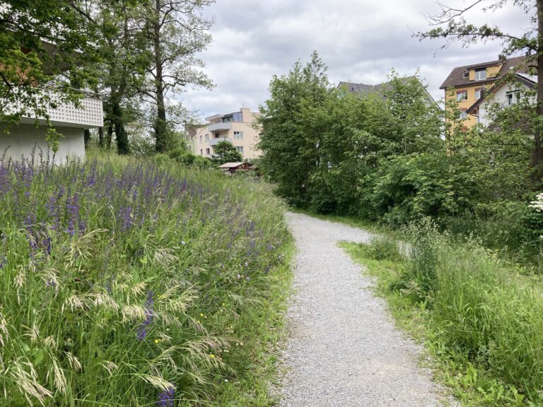 Dienstleistung Umgebungsgestaltung: Natur im Siedlungsgebiet - Erholungsraum. Hier der Aabach in Uster.