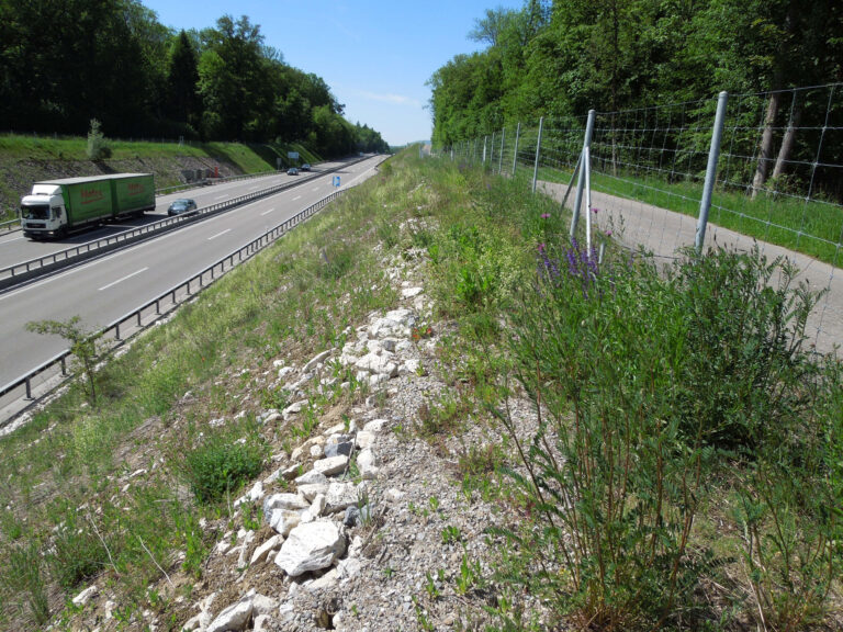 Wirkungskontrolle an offener, kiesiger Autobahnböschung