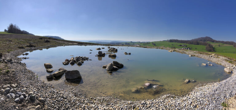 Weiherwanne mit Kautschukfolie. Noch frisch gebaut, ohne Pflanzenbewuchs im und um den Teich.