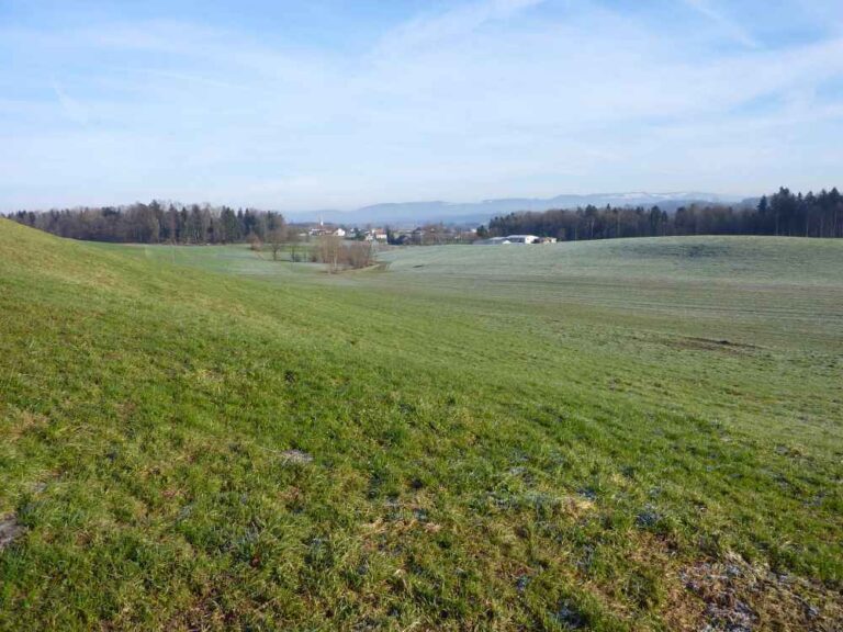Aktuell-2014-11-18