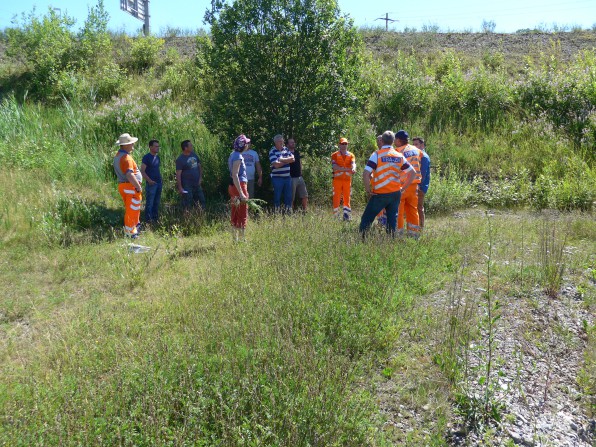 Aktuell-2015-06-24_Unterhaltskurs-fuer-SABAs-mit-Bepflanzten-Sandfiltern-1