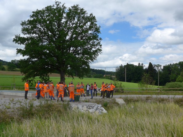 Aktuell-2016-05-31_Unterhaltskurs-fuer-SABA-mit-Bepflanzten-Filtern-Sand-und-Bodenfi