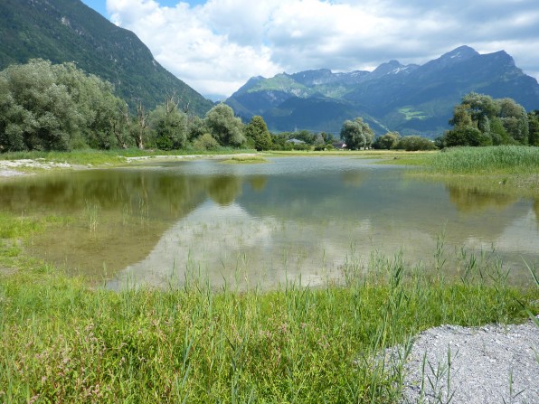 Aktuell-2018-06-27_Einweihung-Wyer-Weiher-1