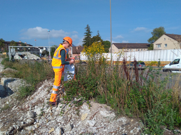 Aktuell-2018-10-09_Neophytenkontrolle-auf-der-Baustelle