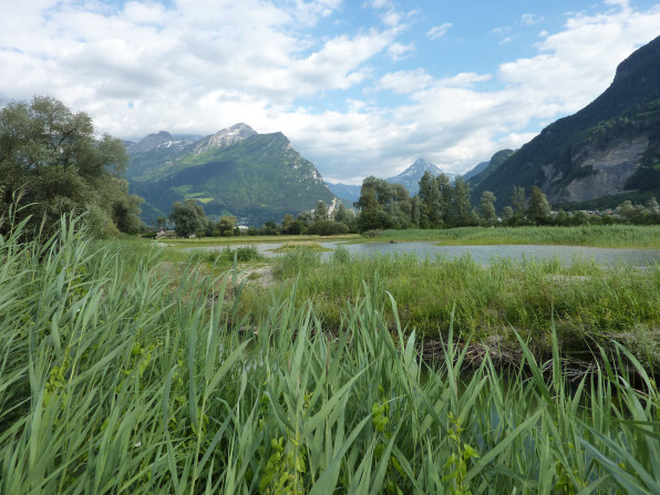 Aktuell-2020-05-15_Prominenz-im-Urner-Reussdelta-2-1
