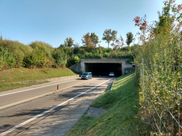 Besichtigung einer Überdeckung die für den Spurausbau erweitert wird. Die Überführung und die angrenzenden Böschungen der Strasse sind stark mit Gebüschen und Bäumen eingewachsen.