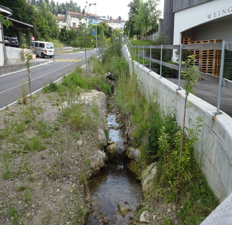 Hochwasserschutz und Revitalisierung Rundibach - nachher Wanderweg am Bach mit Ufersicherung